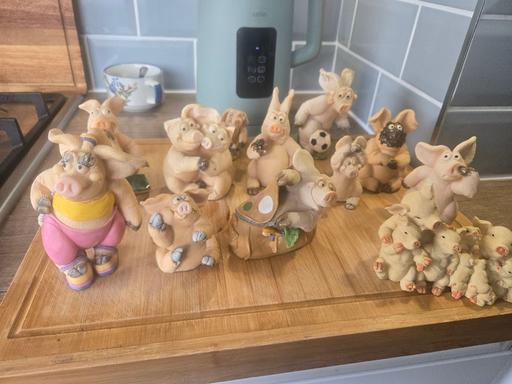  — piggy collection
