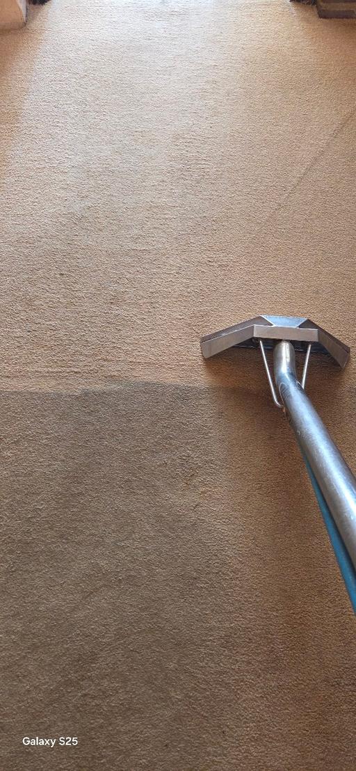  — Professional carpet and upholstery cleaning 
