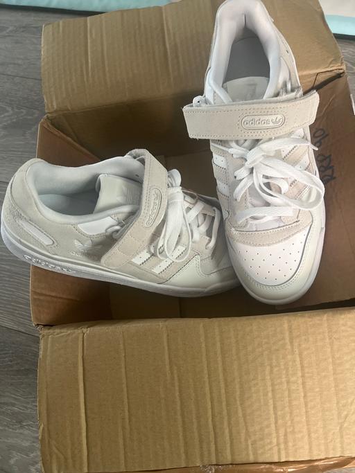  — Trainers