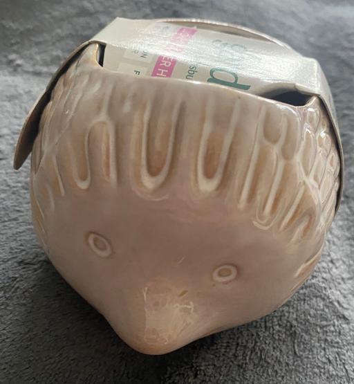  — Hedgehog plant pot with bulbs