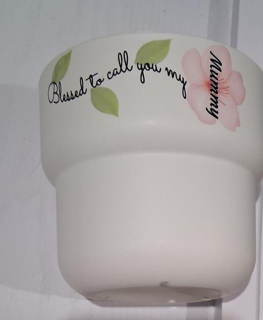  — mummy plant pot