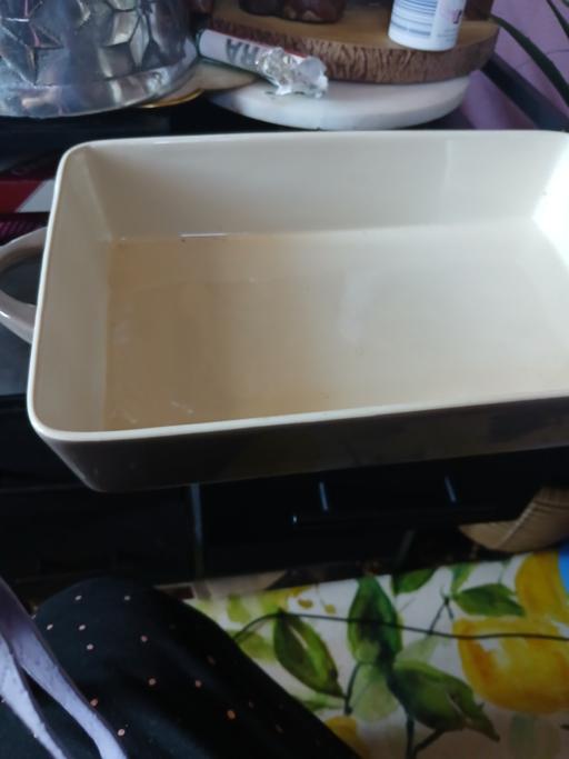  — big oven proof dish