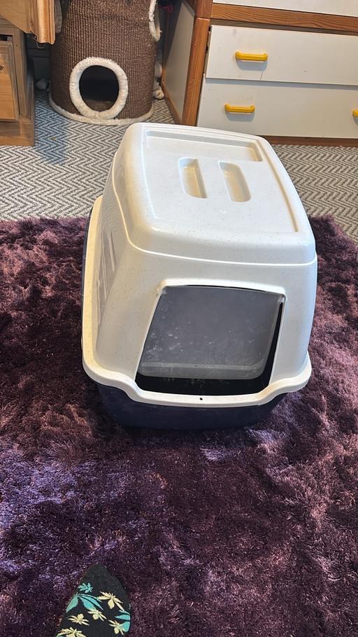  — Used cat litter box