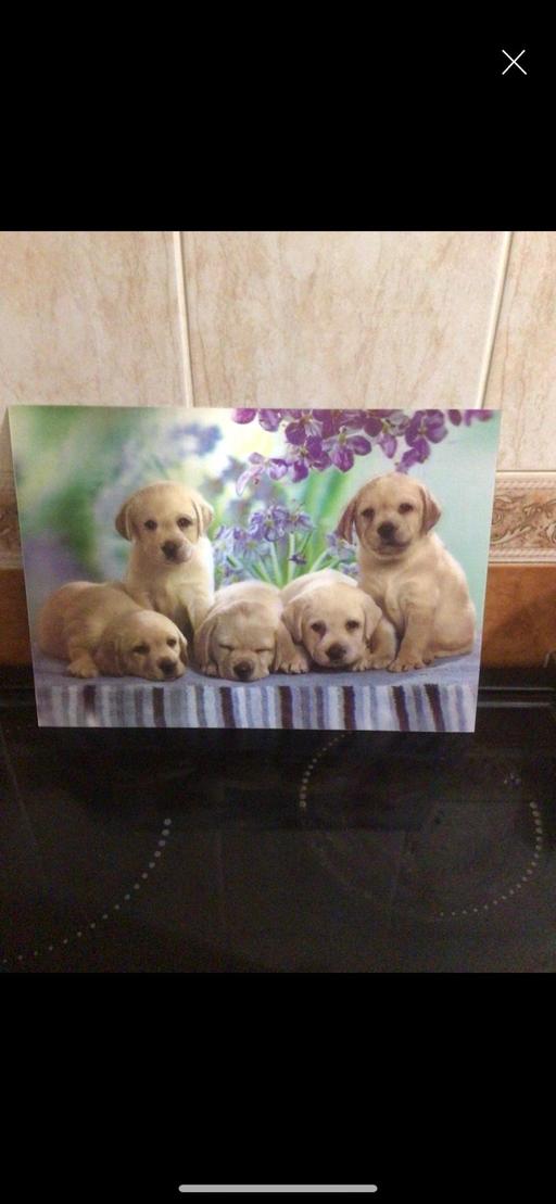  — 3D Large postcard