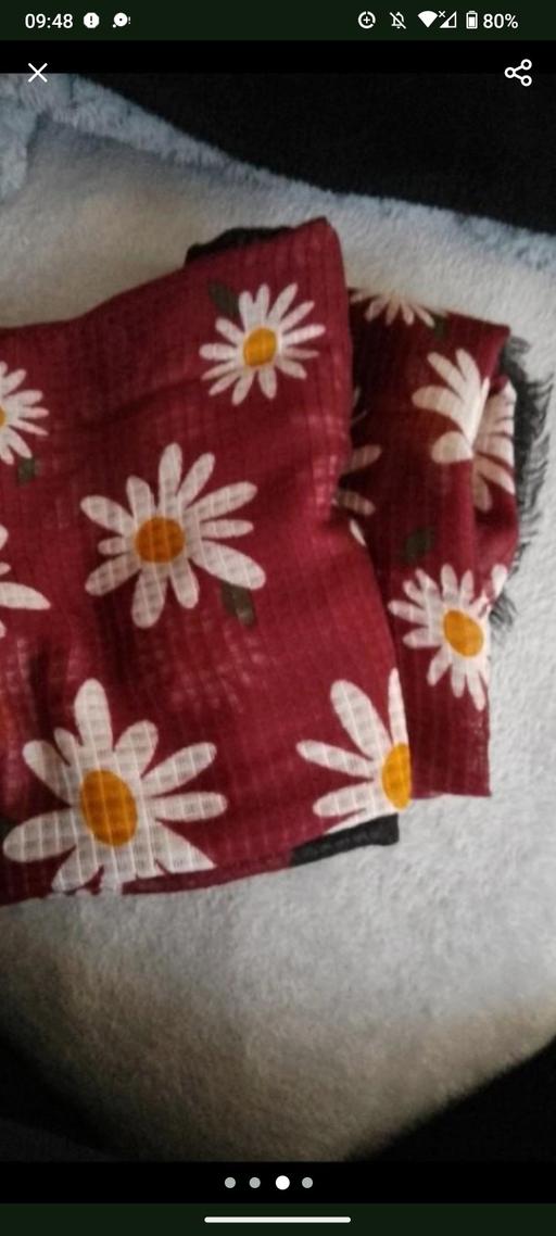  — Scarf
