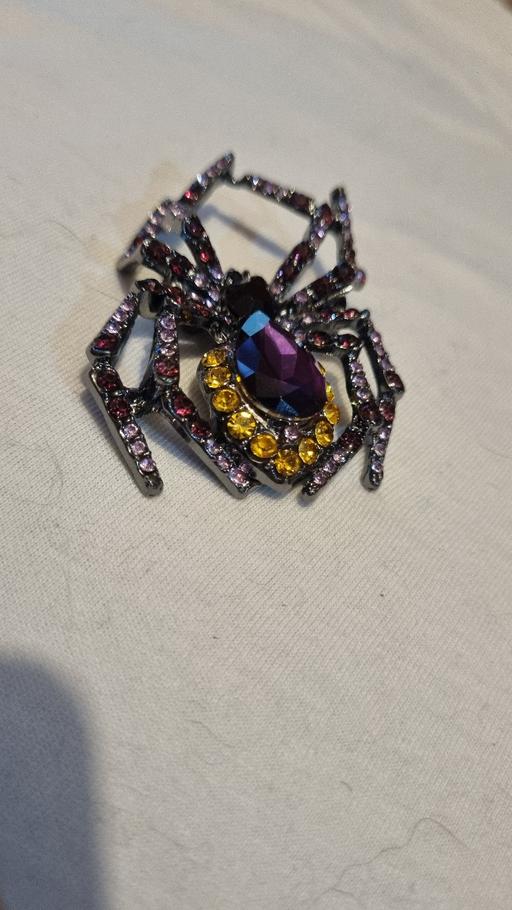  — spider brooch