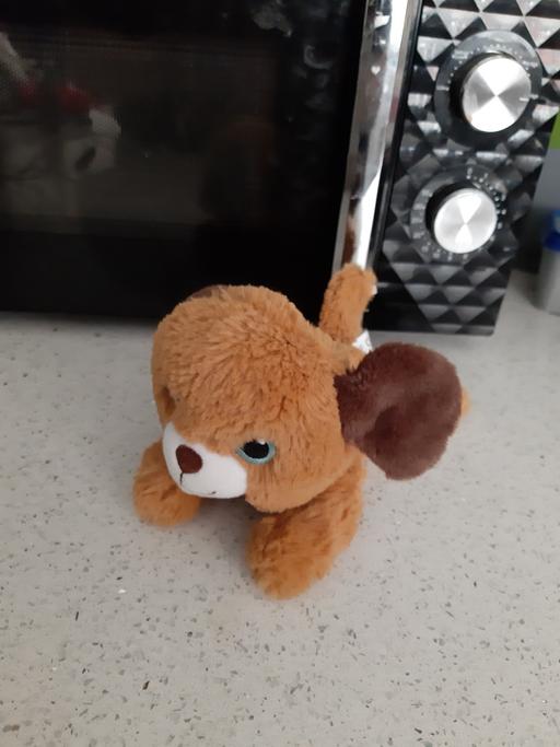  — toy