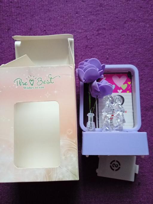  — brand new ornamental light set