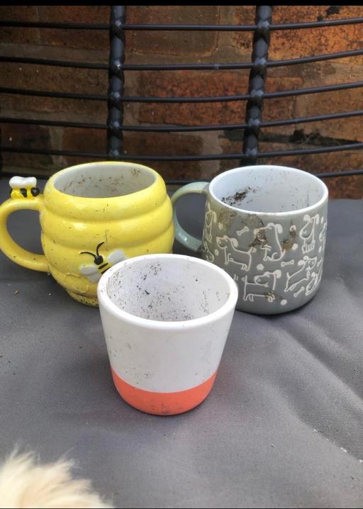 — Plant pots