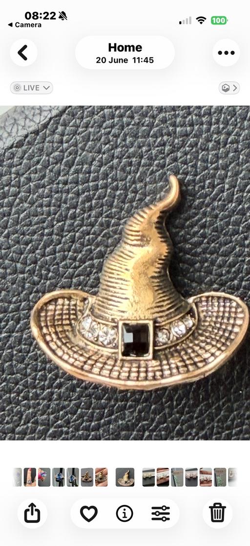  — Witches hat brooch