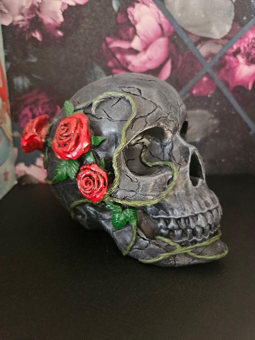  — skull