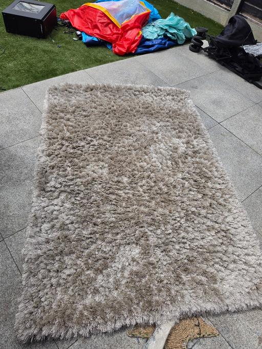  — Rug for free