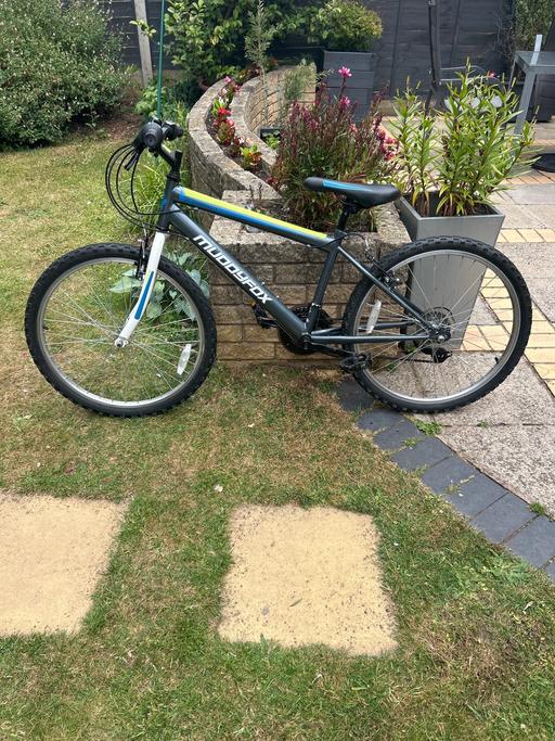  — Muddy Fox Energy 24” Bike