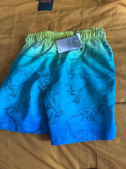  — Dinosaur swim shorts age 4-5 years