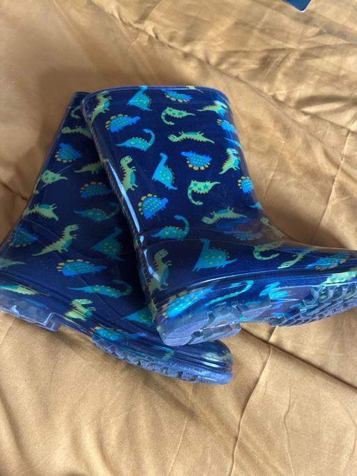 — Dinosaur size 12 wellies