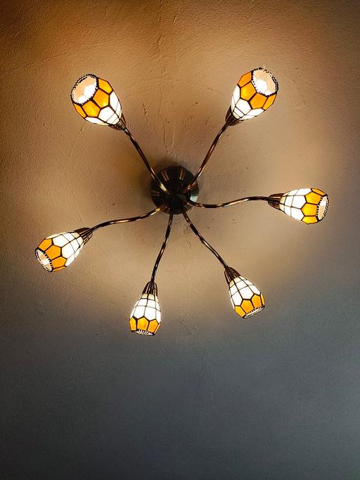  — Ceiling light