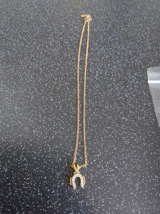  — Women's horseshoe necklace