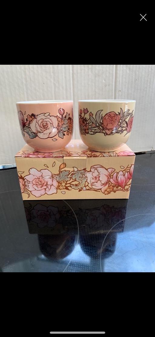  — Teacups/plant pots