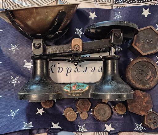  — Viking weighing scales