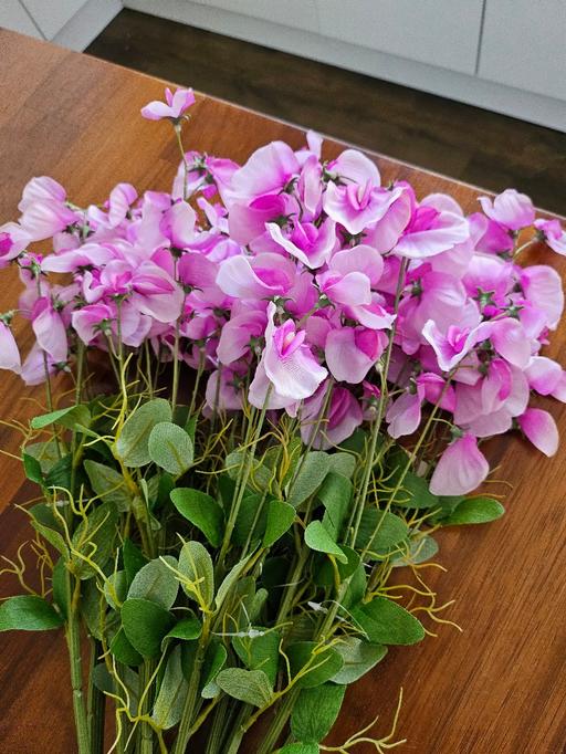  — 1 x sweetpea stem 50p