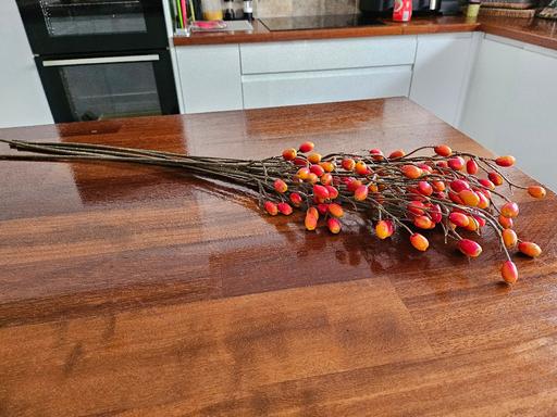  — Artificial Rosehip stem (6 for £5)