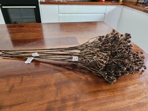  — Artificial Gypsophlia stem