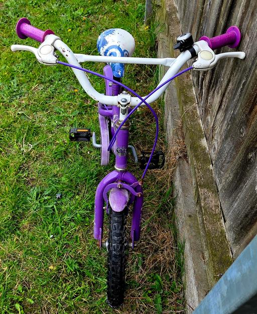 Pedal Pals Sweet 16 Inch Kids Mountain Bike