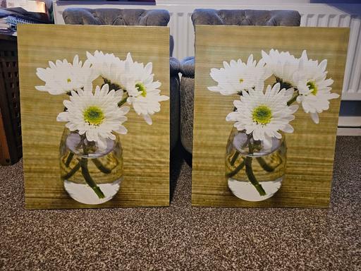  — Green Canvases