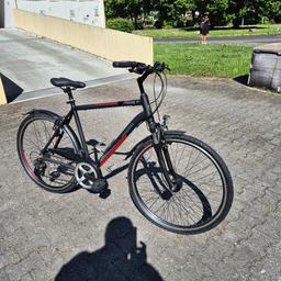 hundeanhänger fahrrad gefedert Faltbarer Hundefahrradanhänger Bis zu 20 kg E-Bike geeignet Omar Rodriguez-Lopez – The YGroup_transferlowbridge Rahmengröße:S2