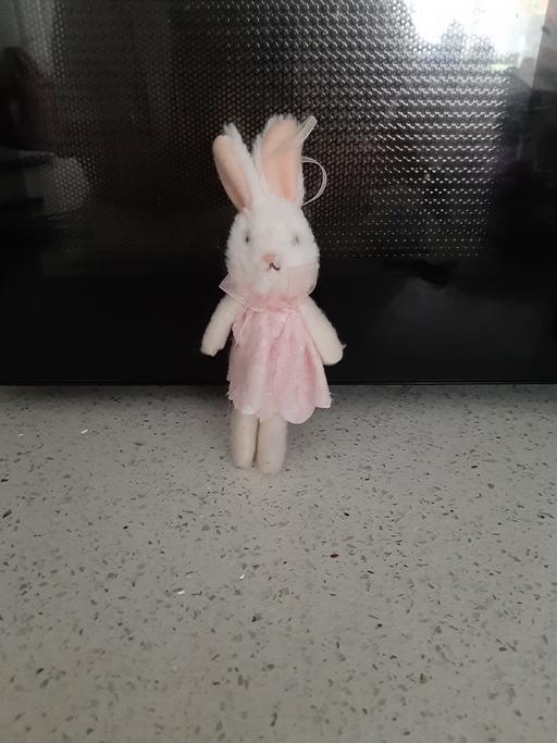  — bunny