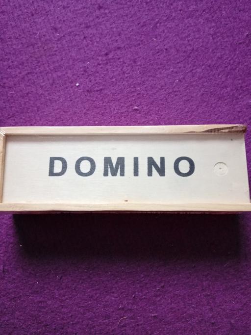  — brand new DOMINO
