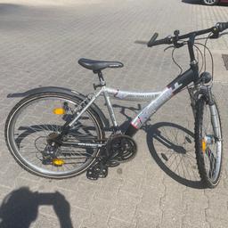 dachzelt kia picanto Naturbummler Flitzer 1 Hartschalen » Hier kaufen 20