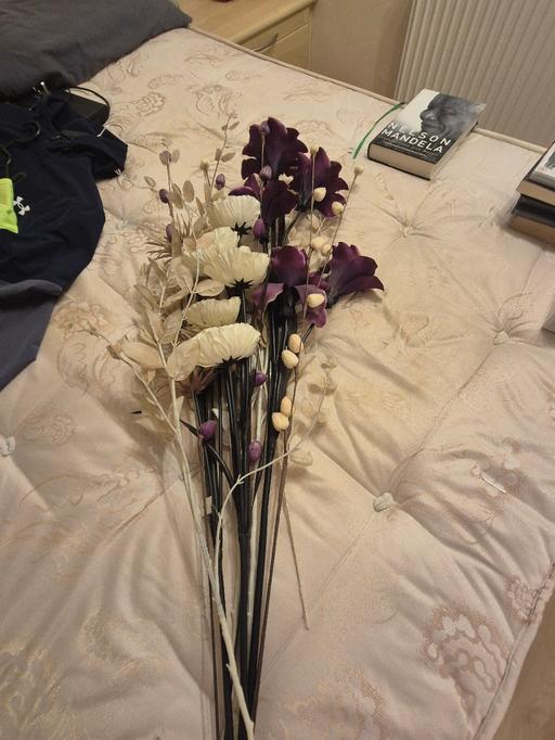  — Floral stems