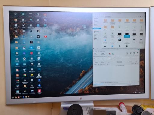  — Apple Cinema Display 30" DVI