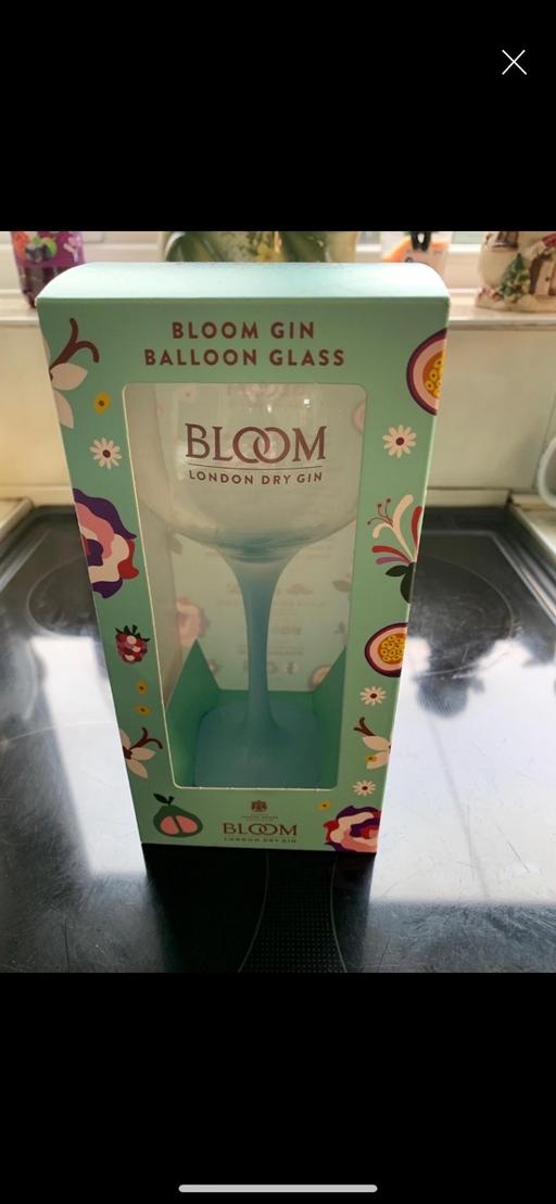 — Bloom balloon gin glass