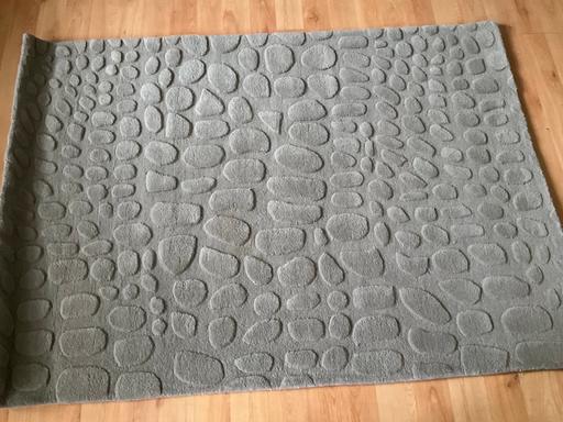  — New paw grey rug