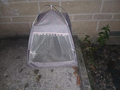  — cat tent.