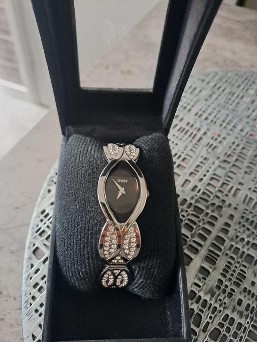  — seksy bling watch