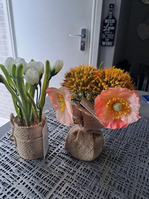  — 3x new plants