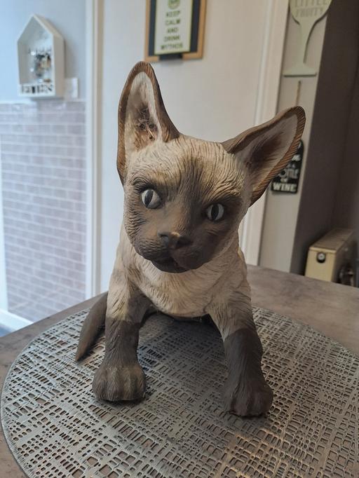  — large pot cat