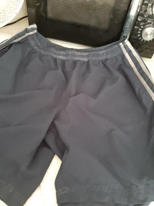  — mens shorts
