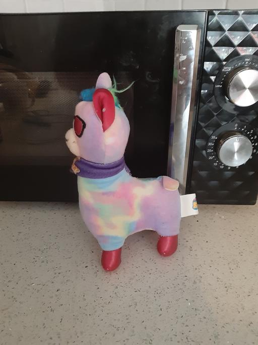  — llama