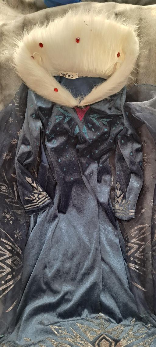  — Frozen Dress Up