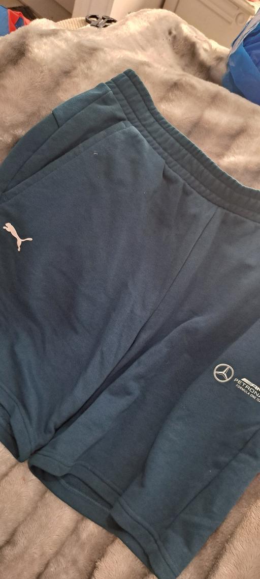  — Puma Shorts L