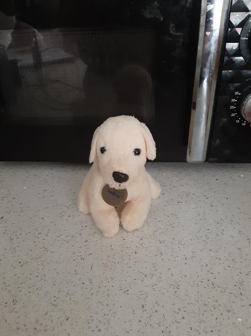  — toy