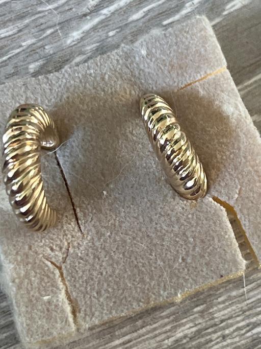  — Earrings