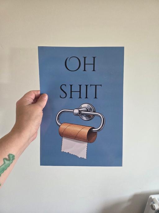  — a4 unframed bathroom poster