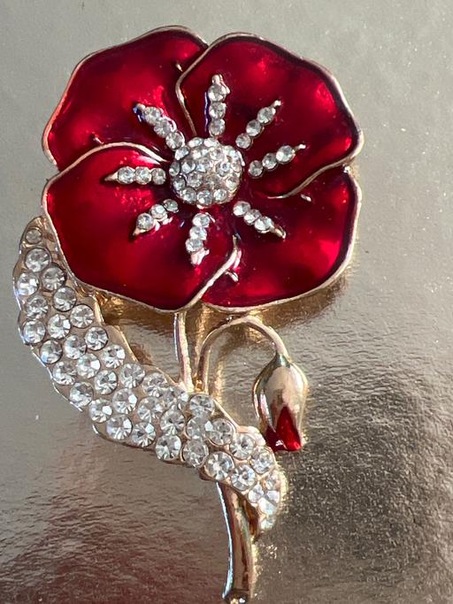  — Lovely poppy brooch