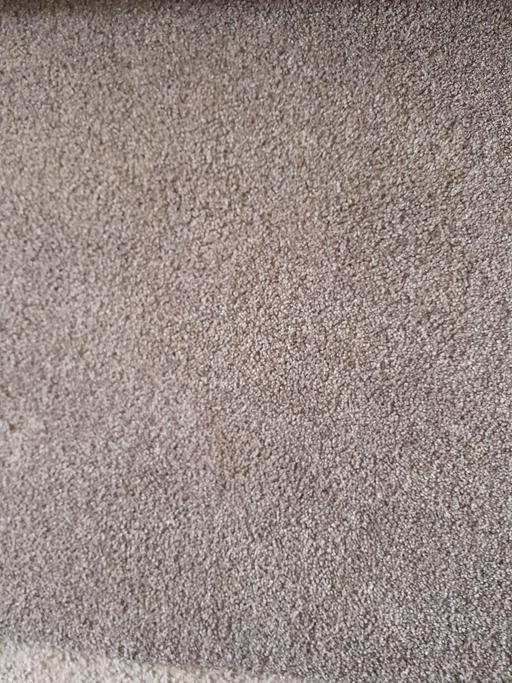 — hone clearance thick carpet