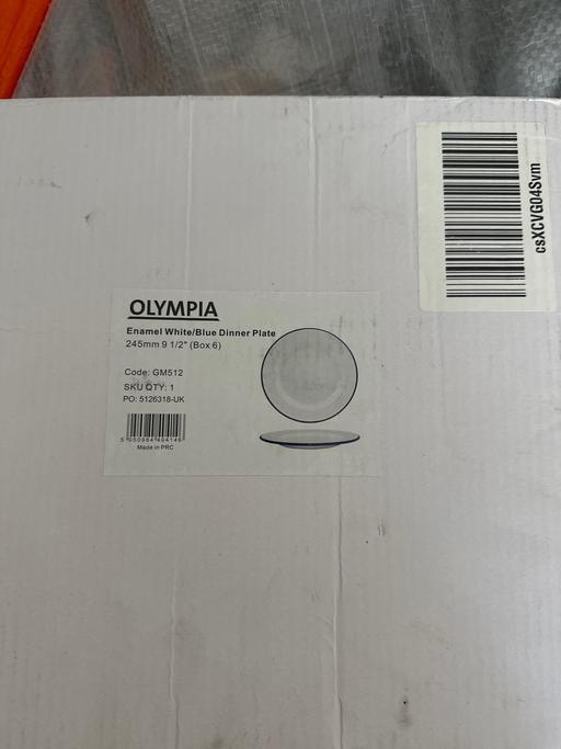  — Box of 6 dinner plates